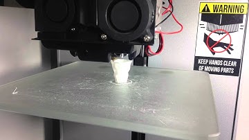 Zeepro Zim 3D Printer -  Poly Vase (15 minutes print)