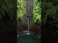 Levada 25 fontes. Madeira island. Waterfall. #shorts