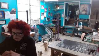 Watch daily as our dog groomers wash, snip, & style your fur babies @Barbara's Small Breed Pet Salon