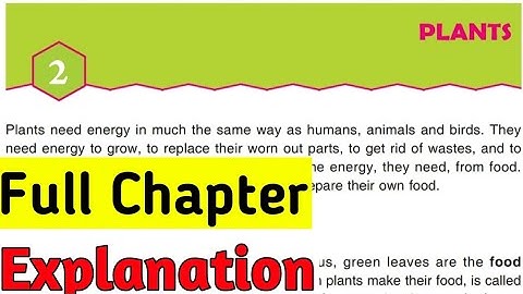||Plants Explanation | DAV Class 5 Science Ch 2 Plants Explanation |