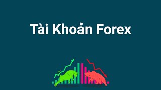 Tài khoản forex là gì - Tại sao Trader cần phải có tài khoản khi giao dịch forex