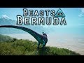 Beasts of Bermuda - РЕКС, С КОТОРЫМ НИКТО НЕ ДРУЖИТ #1