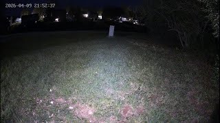 CAM 4: ♥️ REPLAY 🌷Critter CamTV ☔️ | 24/7 Wild Animals & Birds | Spring Kentucky USA