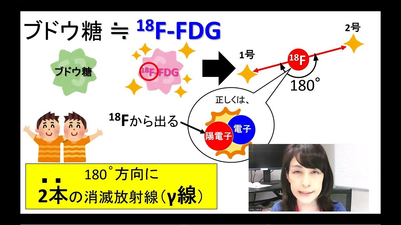 PETが病変の位置を推定する。