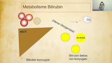 IKTERUS NEONATORUM PART 1