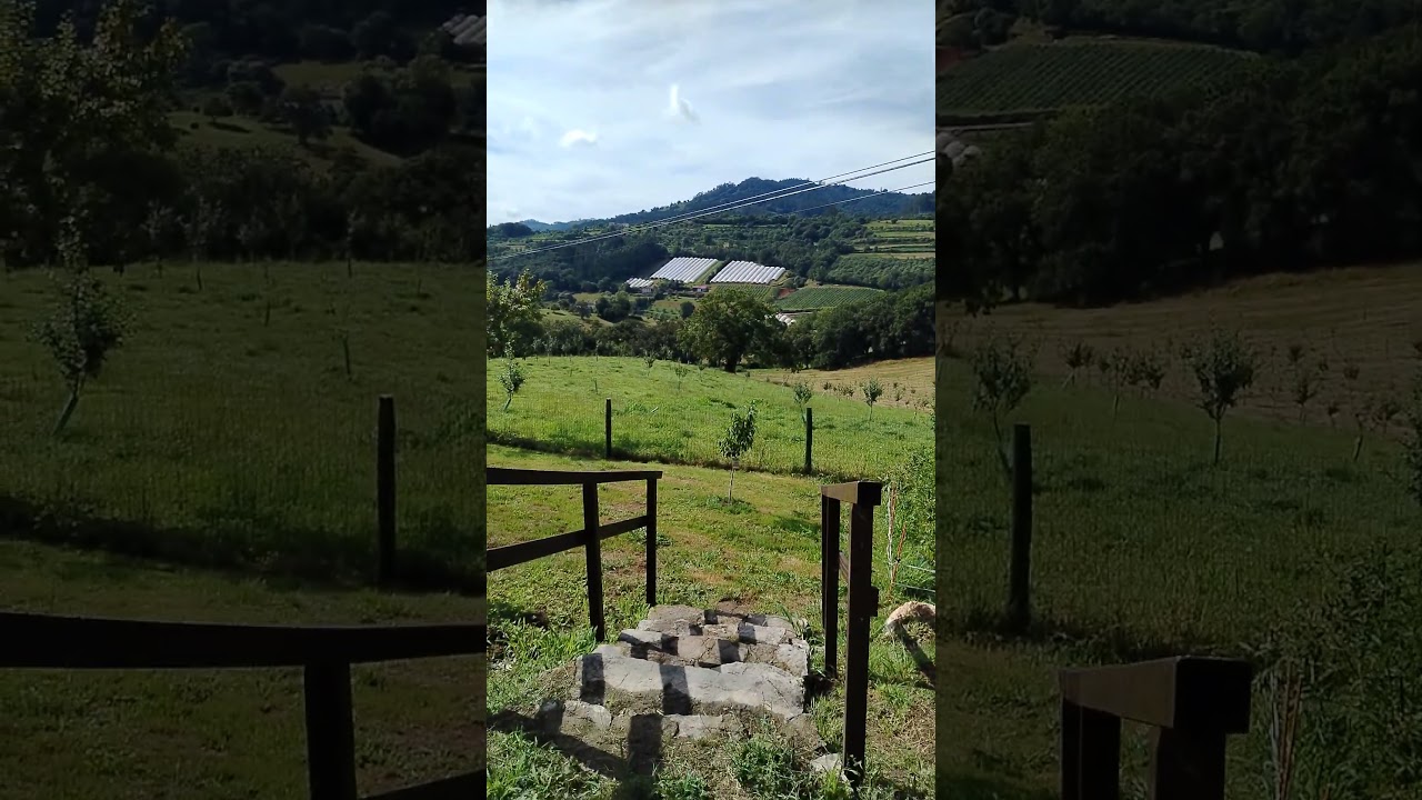 👆Invernaderos Arándanos | La Piquera_2da parada excursión Bus Etnográfico #villaviciosa#asturiasspan