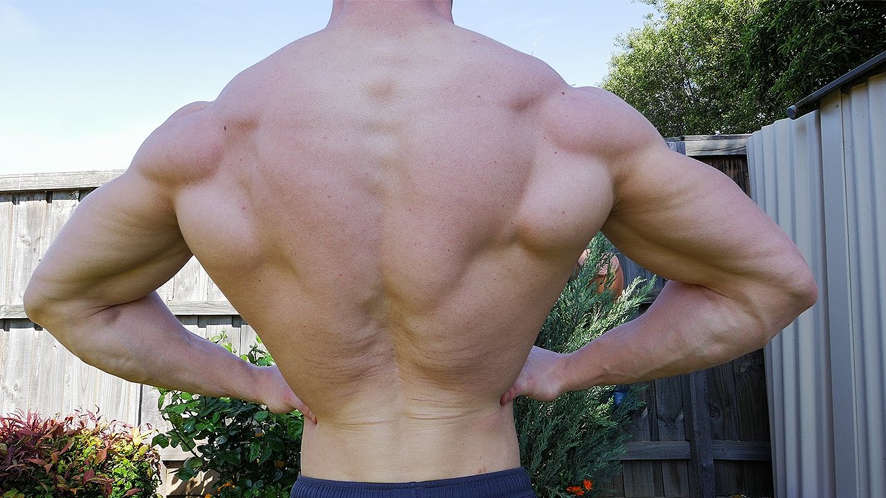 Guaranteed Techniques for a Stronger Back