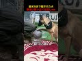 潜水対決で騙された犬最後は飼い主に仕返しwww