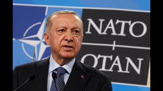 Explainer: Turkey approves Sweden's NATO membership bid | REUTERS