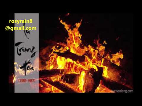 Video Mệnh Vô chính diệu tại Thân , sung chiếu Thiên cơ Thái... - youtube