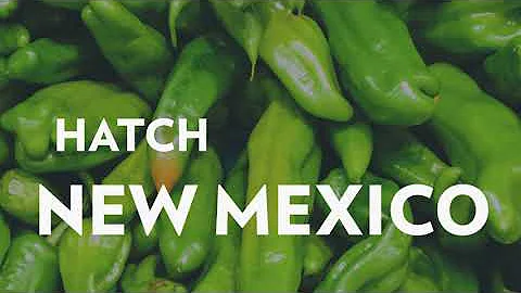 Reasor's Hatch Chile Fest Going On Now!