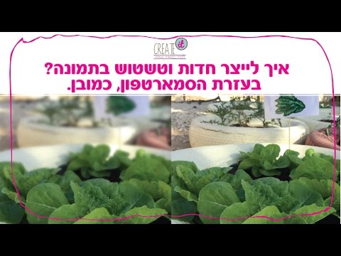 פרק מס׳ 13: איך עושים טשטוש תמונות באפליקציה בסמארטפון?