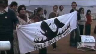 The End of Australian Whaling