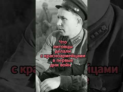 Что литовцы делали в первые дни войны? #shorts