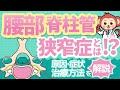 腰部脊柱管狭窄症の原因、症状、治療法を医師監修で分かりやすく解説【整形外科】