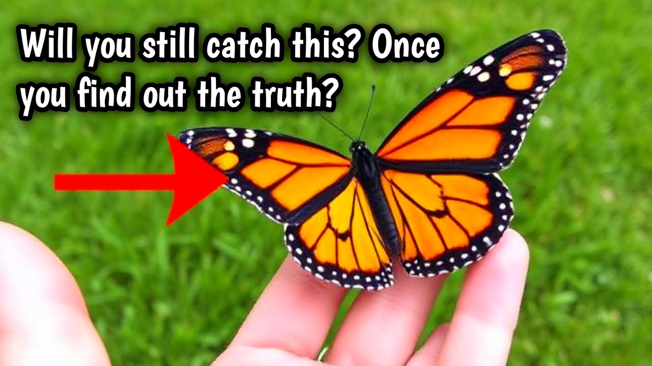 Will you still catch this? Once you find out the truth?