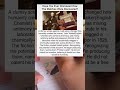 The Accidental Discovery Of Matches In Britain #truestory #facts #shortsfeed
