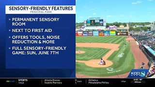 I-Cubs to host sensory-friendly game