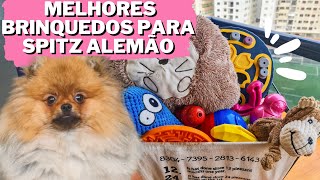 Melhores BRINQUEDOS para Cães pequenos!!!