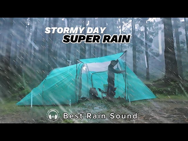 🎧 HEAVY RAINSTORM CAMPING with JUMBO TENT in the forest (Rain Sound ASMR) class=