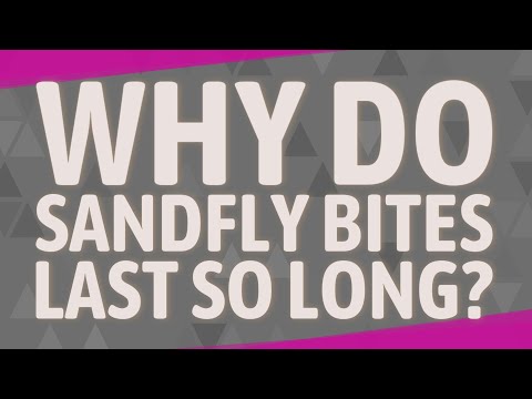 Video: Når kommer sandfluer ut?