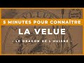 5 MINUTES POUR CONNAÎTRE LA VELUE - DRAGON DU MANS