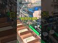 Automatic Cartoner Machine
