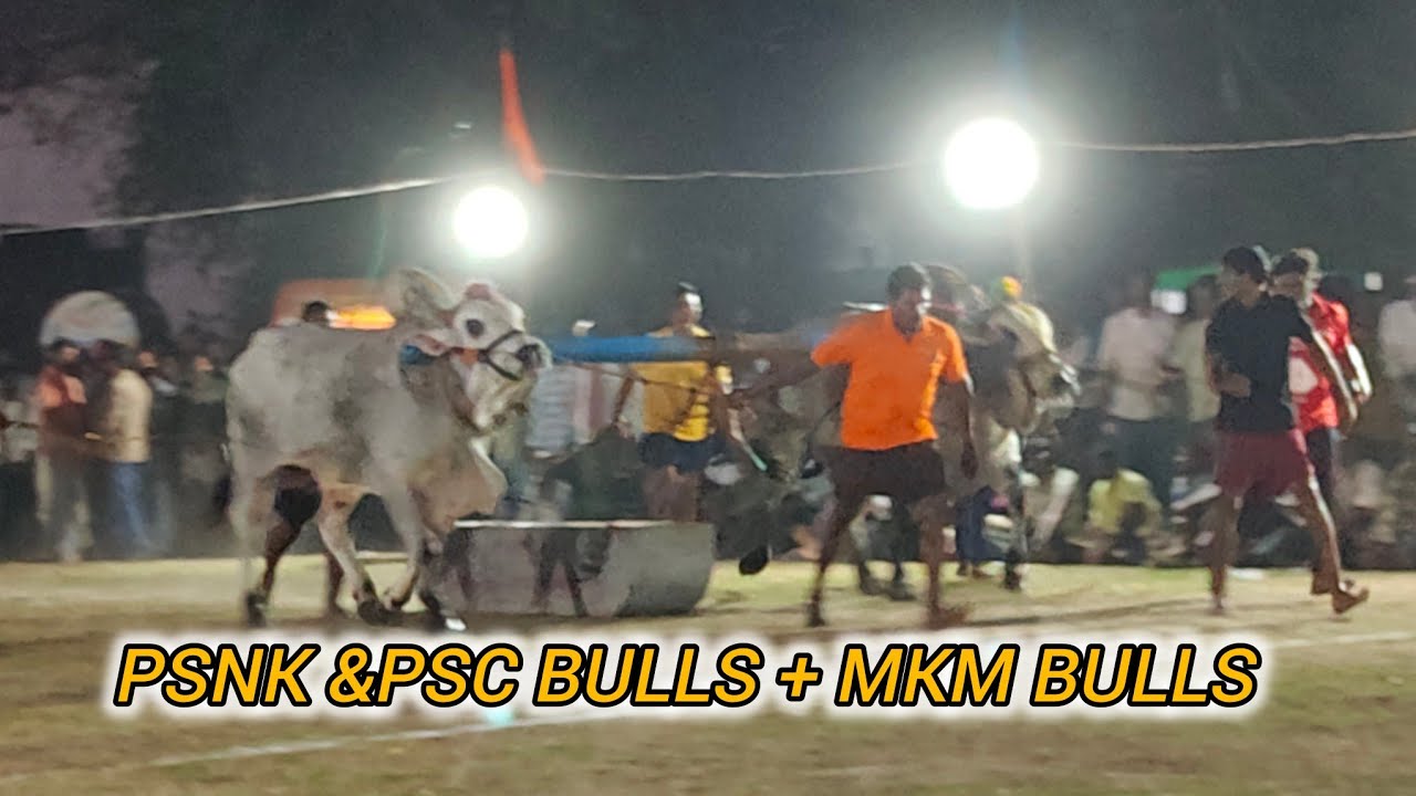 బనిగళ్ళపాడు న్యూ కేటగిరి 6వ PSNK & PSC BULLS + MKM BULLS 