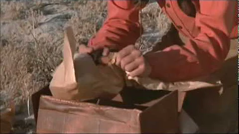 James Gang - Laguna Salada (from Zachariah) 1971