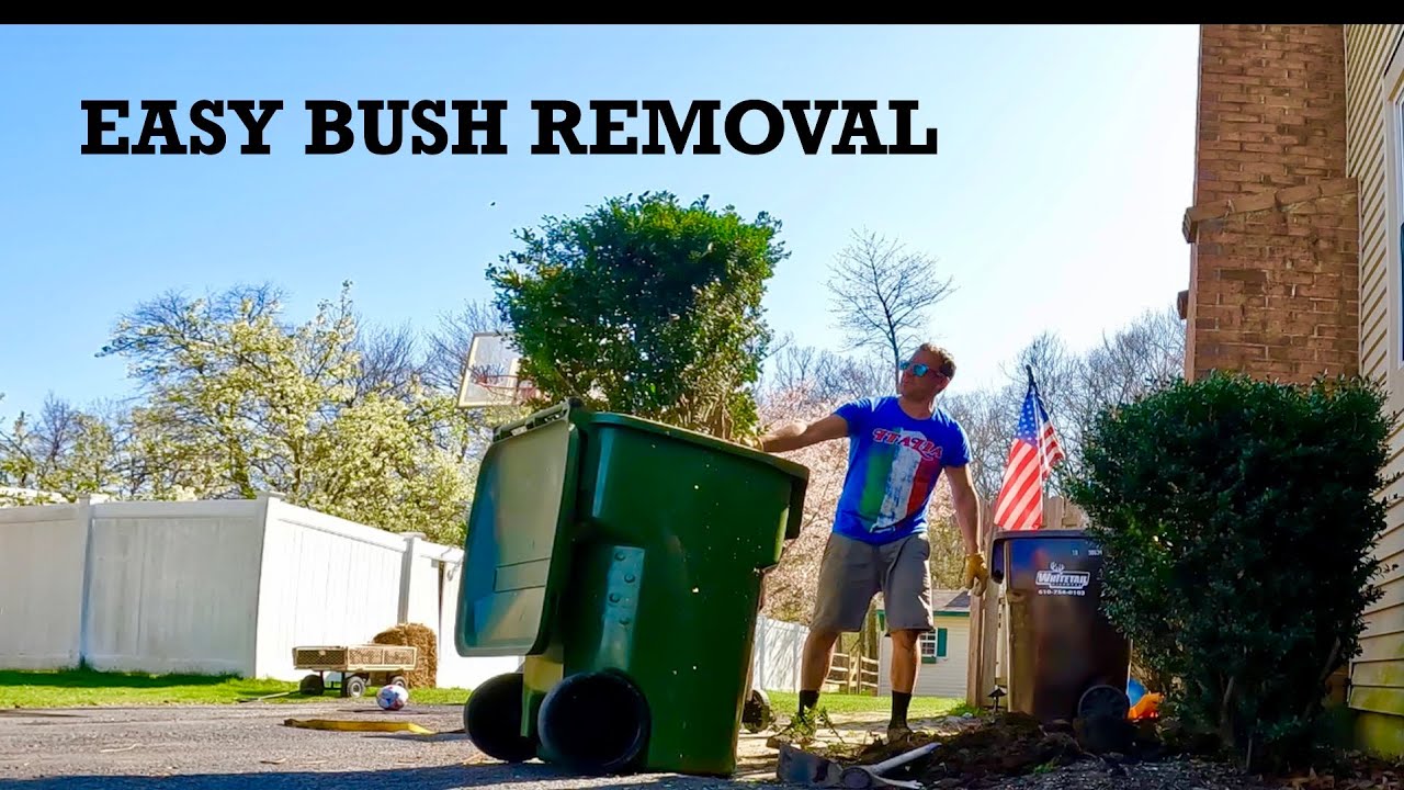 Remove BUSH And STUMP In Less Than 8 Minutes How To Remove A BUSH remove-bush-and-stump-in-less-than-8-minutes-how-to-remove-a-bush
