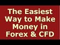 Best FOREX ROBOT Ever 2019. $100 to $50,000 in a month ...