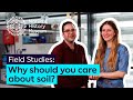 Understanding Soil and Its Importance