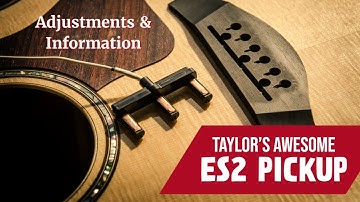 Taylor ES2 Pickup Information and Adjustment