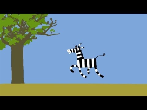 Video: Prečo Je Zebra Pruhovaná