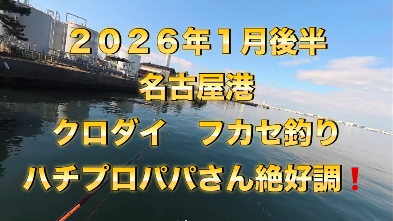 ２０２６年1月後半名古屋港クロダイフカセ釣り　ハチプロパパさん絶好調