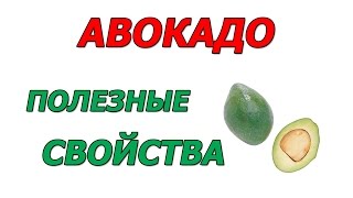 Авокадо полезные свойства Авокадо полезные свойства