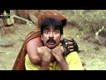 Top Action Scenes | Back to Back Fight Scenes Vol 17 | Ravi Teja, Pawan Kalyan | Sri Balaji Video