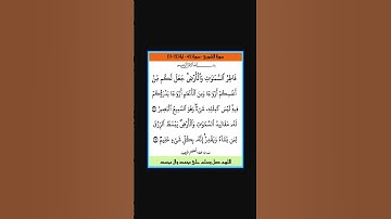 سورة الشورى - سورة 42 - اية 12-11