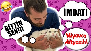 MARRIED COUPLE CATS!  started arguing at the vet!  #inanoğlu #konuşankedi #altyazılıkedi