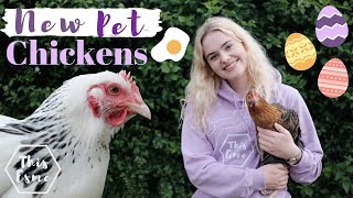 New Pet Chickens! Welcome to the Family | This Esme