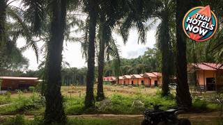Khao Sok Evergreen House | Surat Thani, Thailand | Hotel Review ⭐ | ThaiHotels Now