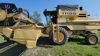 Harvest Has Begun! I Combine Peas! by Northern farmer 13,115 views 8 months ago 11 minutes, 3 seconds