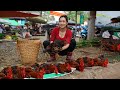 Harvesting chickens to sell  buying food to take care of my sick mother  ngn daily life