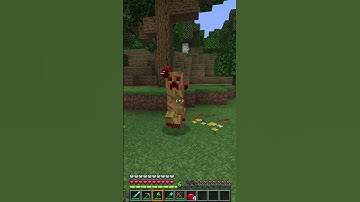 Minecraft Guide: How to get Gunpowder #shortvideo #minecraft #mctutorial #gaming #tutorial #memes