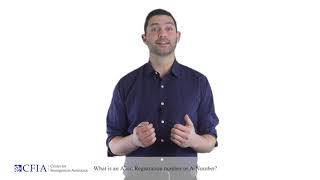 What is an Alien Registration number or A-Number?