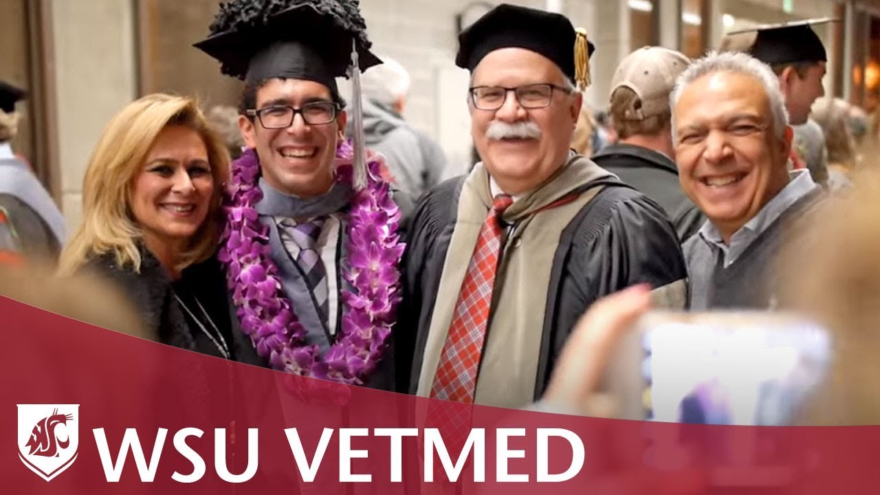 Wsu Vet School >> 2017 College Of Veterinary Medicine Commencement Wsu Vet School >> 2017 College Of Veterinary Medicine Commencement