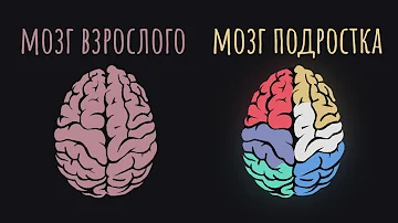 Как подростковый возраст влияет на психику