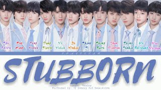 【Pinyin/English/Colored Lyrics】【TF家族 | TF Family】 Stubborn - cover