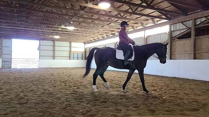 Sue Hughes lesson 11/12/2020