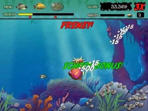 Feeding frenzy 1 games Feeding frenzy 1 games